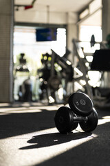 Close Up Stacked 5kg Dumbbells in Dappled Sunlight