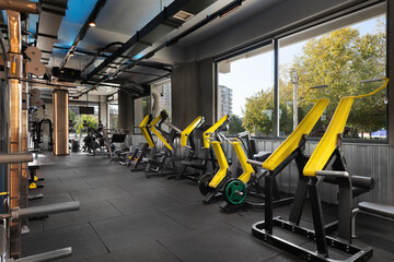  Modern Gym Interior with Various Machines