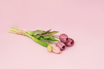 A bouquet of pink tulips on a soft pink background. Gift bouquet for the holiday. Spring Flowers