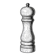 A detailed engraving-style illustration of a vintage wooden pepper mill. This classic kitchen utensil is isolated on a white background, perfect for culinary or cooking-related themes.
