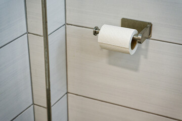 Wall mounted holder ready for soft toilet paper roll