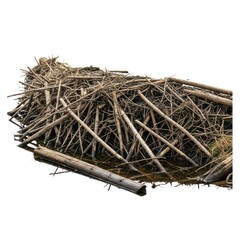 A pile of dry natural twigs and branches forms a deconstructed geometric structure. Detailed macro view against a white background.
