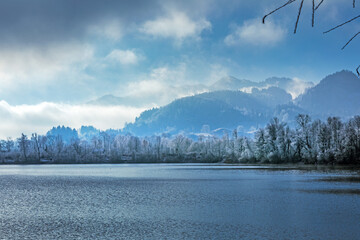 See - Allg&auml;u - Frost - B&auml;ume - Raureif - Stille - Winter