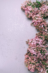 Violet and pink lilac flowers on grey pastel background, flat lay style. Place for your text.