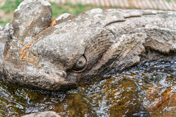Italy - Caprarola - Palazzo Farnese - Close up of a grotesque stone dolphin mask on the water chain fountain