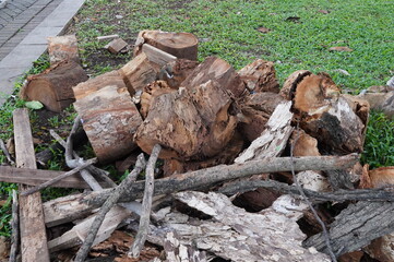 Pile of chopped tree trunks in the forest. Nature background