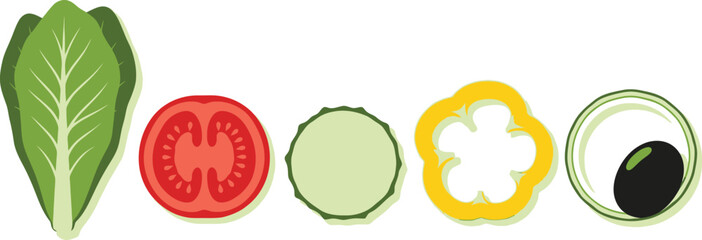 Set of 6 salad ingredients flat illustration lettuce tomato cucumber pepper onion and olive