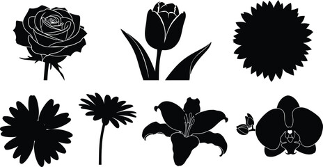 Set of 6 flower silhouettes rose tulip sunflower daisy lily and orchid distinct floral shapes
