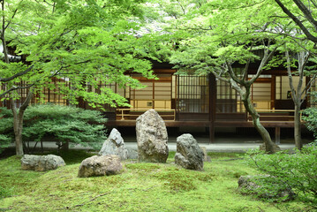 建仁寺　初夏の潮音庭(京都市東山区)