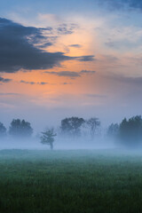 Burzowe chmury o świcie © JOANNA