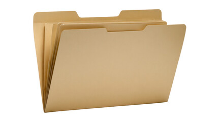 Group of plain tan manila file folders standing, symbolizing organization, office work, data, archives, business, and information