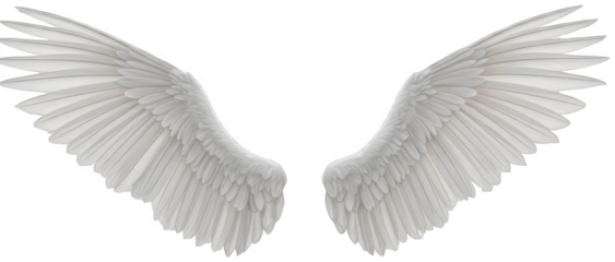 Intricate, detailed, and expansive white feathered wings, meticulously rendered in a digital art style, gracefully spread outwards with overlapping layers of, isolated on transparent background.
