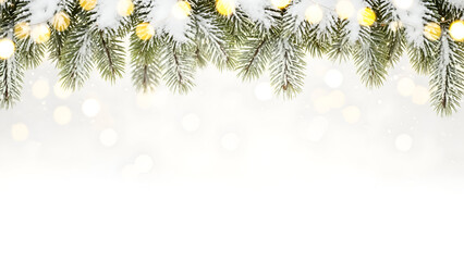 Christmas tree branches with snow and lights on white background
