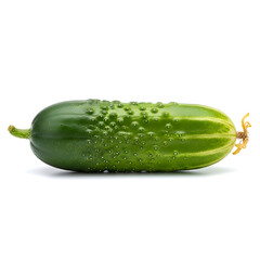Fresh green cucumber on white background
