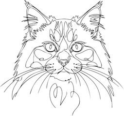 Contoured cat face © MST MAJADA