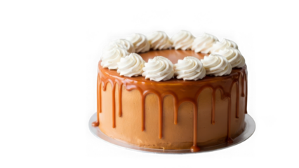 Delicious caramel drizzle cake