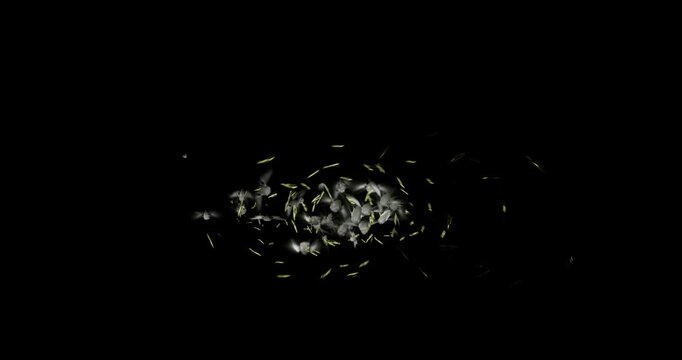 bug swarm spin effect on black background
