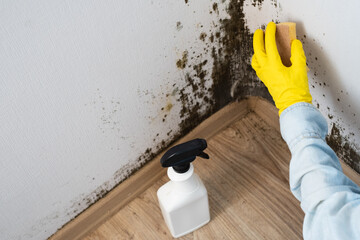 A person in yellow gloves scrubs a wall with mold near the floor in a room. They focus on cleaning...