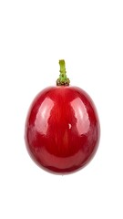 One single fresh red grape with a green stem isolated on a white background.