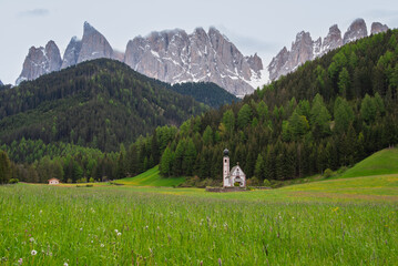 Iconic alpine valley in Val di Funes with a small church, green meadows and forested hills beneath dramatic Dolomite peaks in South Tyrol, Italy.