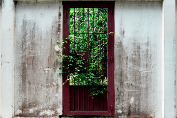 Rusty red door with a green plant growing out of it