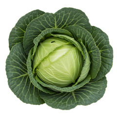 Obraz premium Vibrant fresh green cabbage vegetable top view showing tightly packed leaves forming round head isolated on transparent canvas for design work