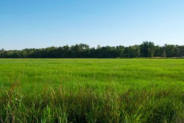 Obraz premium Eagle Island State Park field