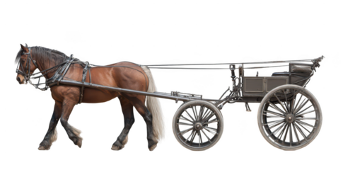 horse pulling a carriage, isolated on a white background