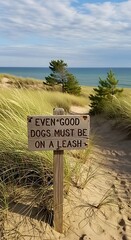 A wooden sign on a sandy path advises all dogs to be leashed. The sign is surrounded by dunes with grass, trees, a scenic ocean, and a blue sky