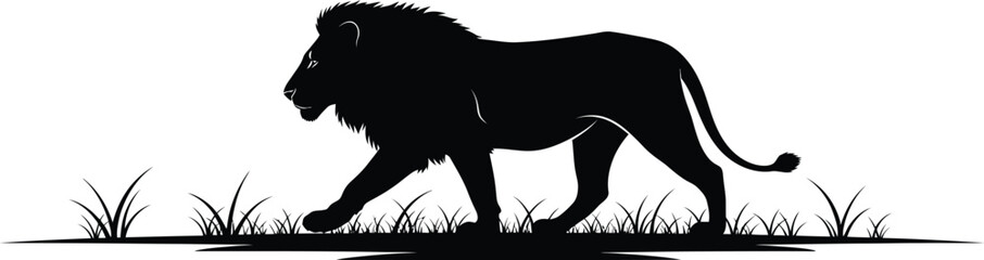 Majestic lion silhouette walking through grassy savannah landscape