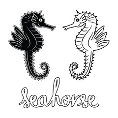 Illustration vector of seahorse logo icon drawing in black and white