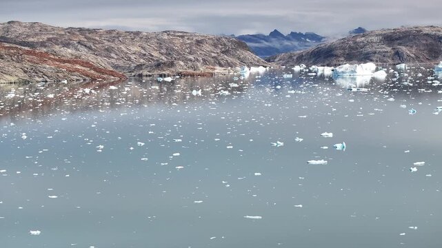 Arctic Fjord with Floating Icebergs in Greenland