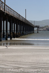 Crescent City pier at low tide