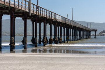 Crescent City pier at low tide