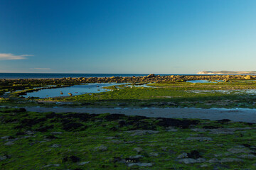 Landscape in Cote d'Opale, France