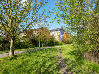 Ecological erea of  Lanxmeer in Culemborg, Gelderlland province, The Netherlands