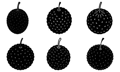Six Black Grapefruit Silhouettes on White Background transparent