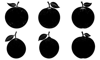 Five black longan fruits with leaves on white background silhouette leaf 3