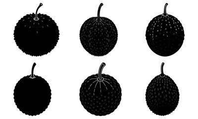Six Black Silhouettes of Spiky Fruits on White Background