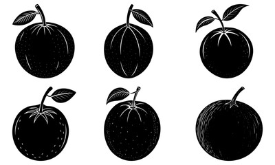 Five Black Plums with Leaves on White Background fruit leaf 1