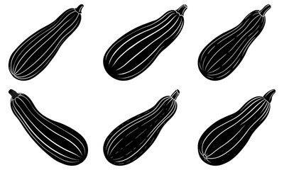 Five black and white zucchini vegetable on a transparent background silhouette