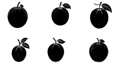 Five black plums with leaves on white background fruit leaf