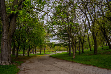 Obraz premium Tree-lined path in Mount Royal Park