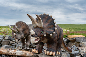 Life-size triceratops dinosaur sculptures in a family-friendly outdoor park. Realistic prehistoric animals displayed in nature, educational dinosaur attraction for children © pyansetia2008