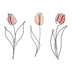 A single line drawing of a tulip. A set of abstract, minimalist tulips. Black and white doodles. Tulip logo