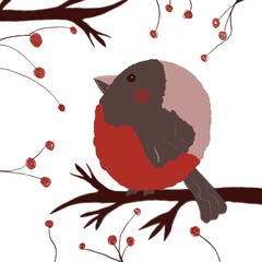 Bullfinch drawing New Year's card holiday winter joy birds and animals nature branches and berries mountain ash. Juicy digital art for printing The animal's beak is seasonal watercolour life just fly