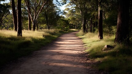 Fototapeta premium A winding dirt path through a sun d d forest with tall trees and lush grass
