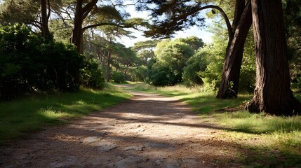 Obraz premium A serene dirt path winds through a sun d d forest with lush green trees and soft shadows