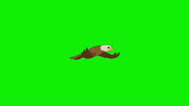 2d cartoon eagle flying loop animation green screen 4k