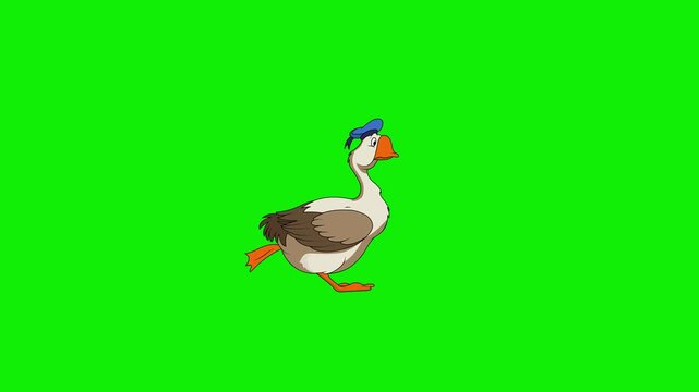 Cute Goose Wearing Blue Hat Walking 2d Cartoon Character Animation 4k Green Screen